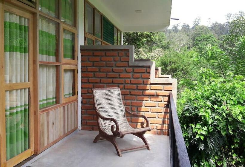 غرفه قياسيه سريرين مزدوجين, Ayubo Ella  Bed & Breakfast