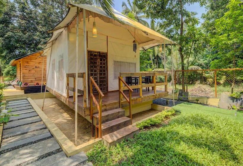 چادر با خدمات رفاهی استاندارد, Coconut Beach Farm