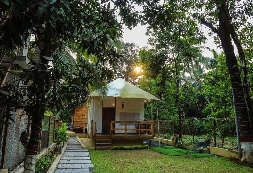 چادر با خدمات رفاهی استاندارد, Coconut Beach Farm