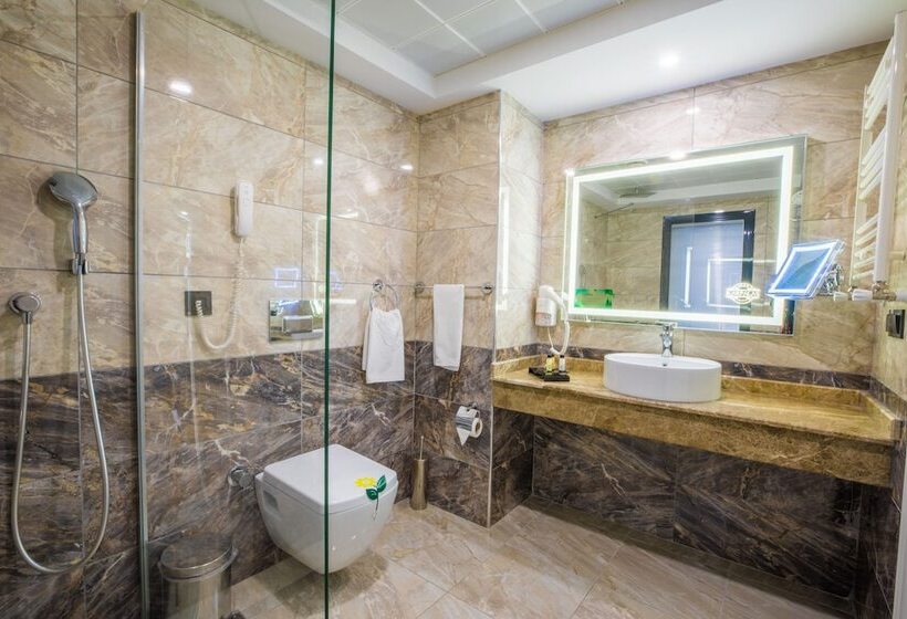 جناح إدارى, Karpalas City Hotel & Spa