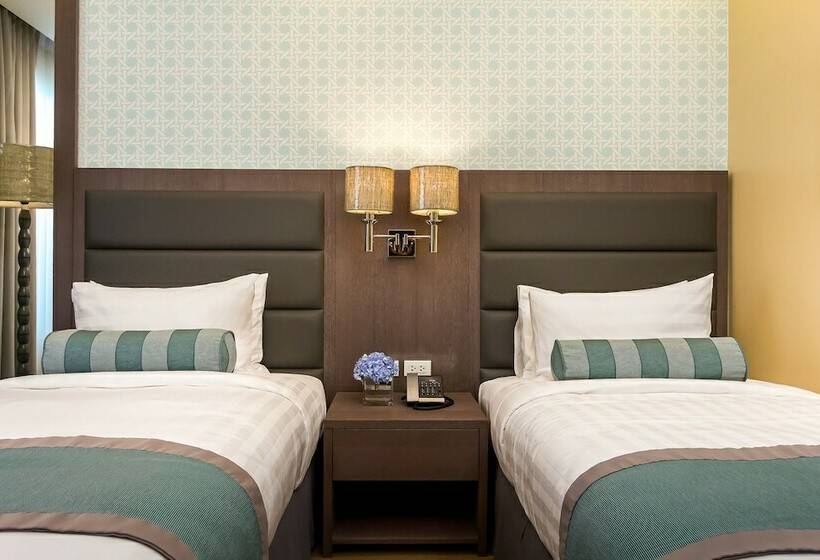 수피리어 룸, Maayo