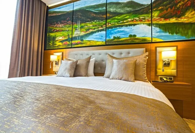 اتاق سوپریور با چشم‌انداز شهر, Aselia Hotel Trabzon
