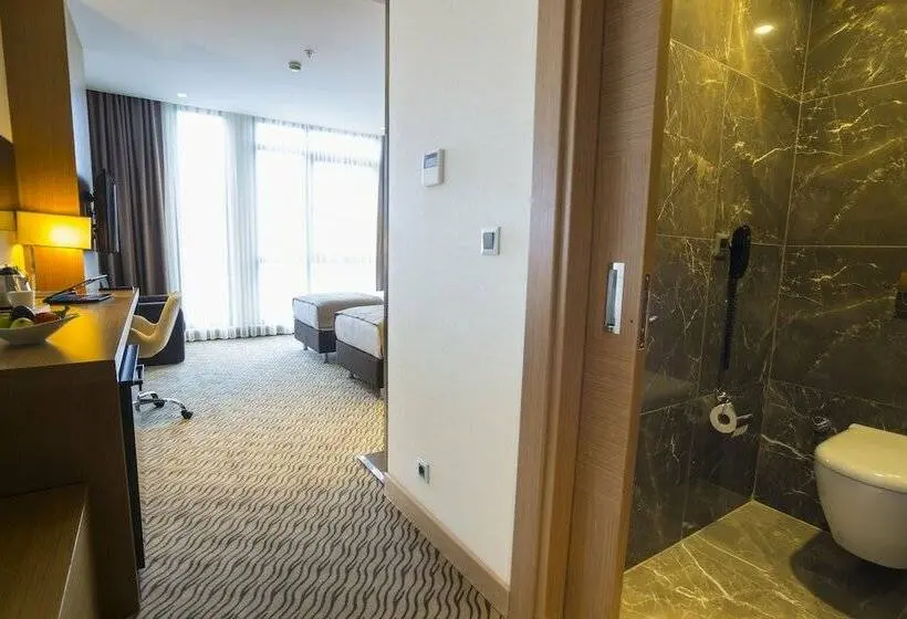 اتاق سوپریور با چشم‌انداز دریا, Aselia Hotel Trabzon