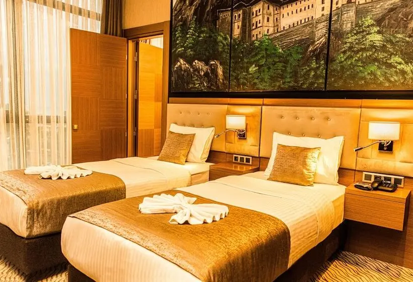 سوییت خانوادگی, Aselia Hotel Trabzon