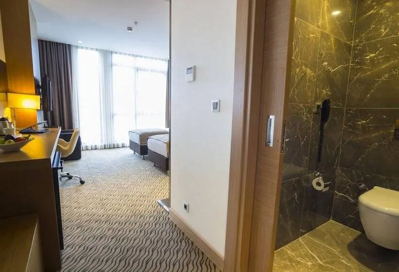 اتاق استاندارد, Aselia Hotel Trabzon
