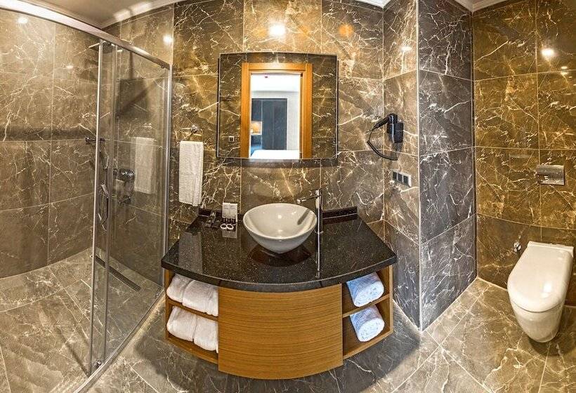 اتاق راحتی با چشمانداز دریا, Aselia Hotel Trabzon