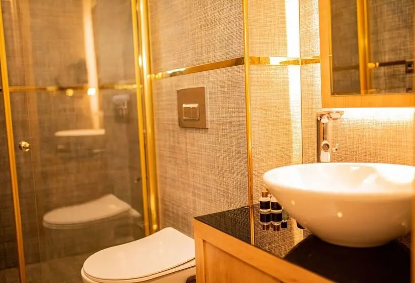 سوئیت اجرایی با چشم‌انداز دریا, Aselia Hotel Trabzon