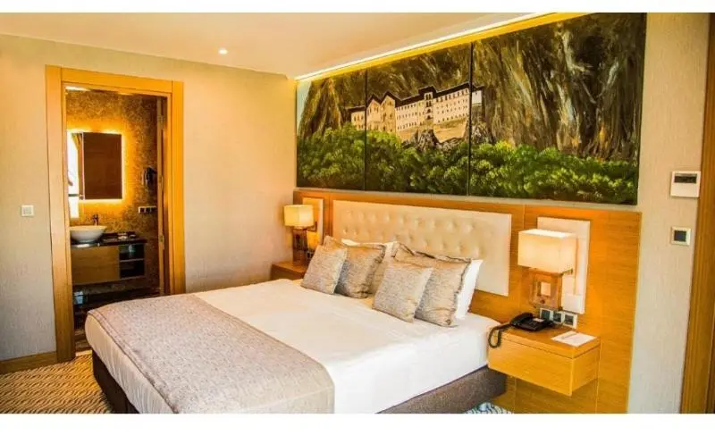 اتاق خانوادگی, Aselia Hotel Trabzon