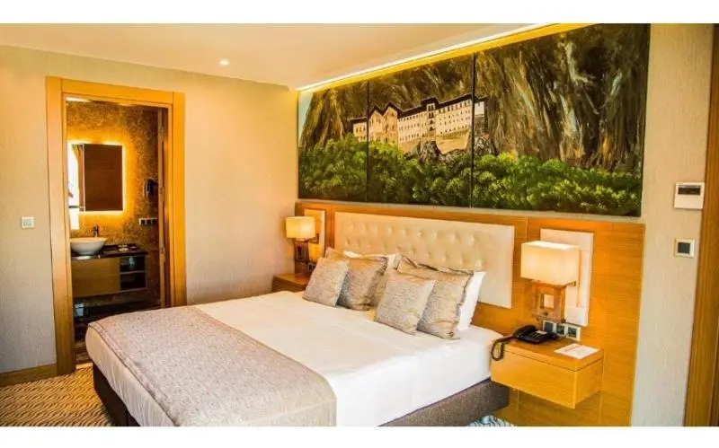 اتاق خانوادگی, Aselia Hotel Trabzon