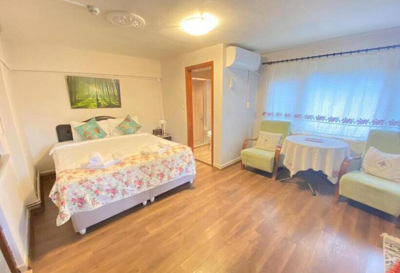 带大床的标准间, Butik Hotel Maşukiye