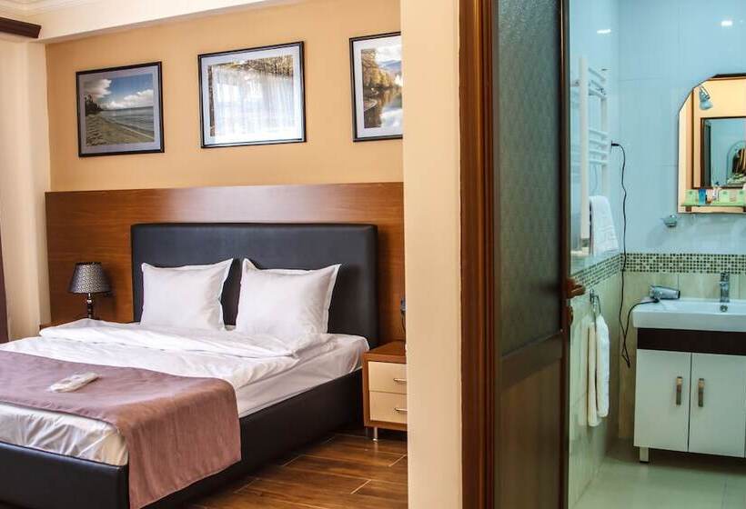 اتاق استاندارد یک نفره, Plaza Viktoria