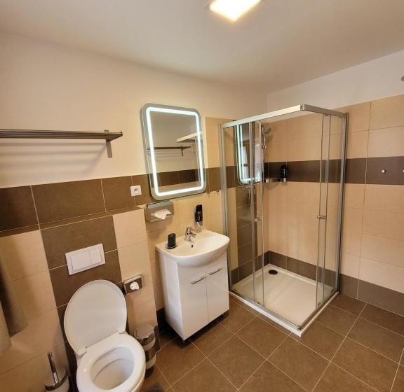 חדר דלוקס, Starý Mlýn