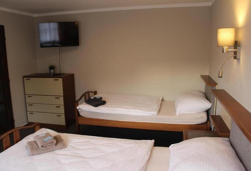 חדר סטנדרט לשלושה, Starý Mlýn