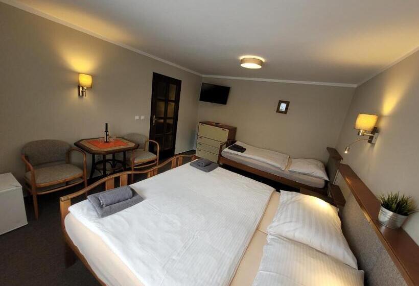 חדר סטנדרט לשלושה, Starý Mlýn