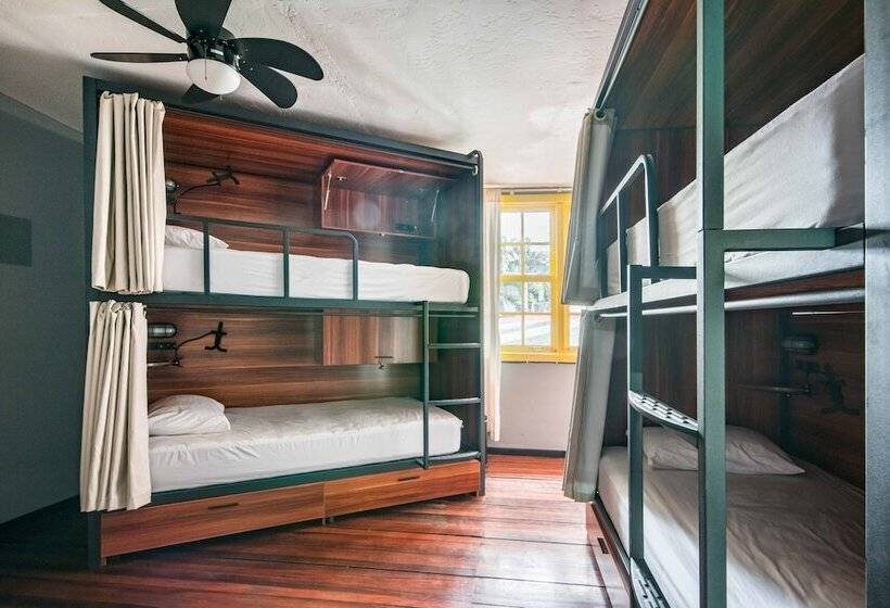 سرير فى غرفة مشتركه, Selina San Jose