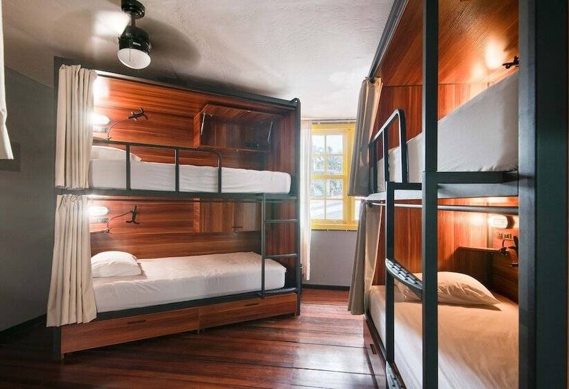 سرير فى غرفة مشتركه, Selina San Jose