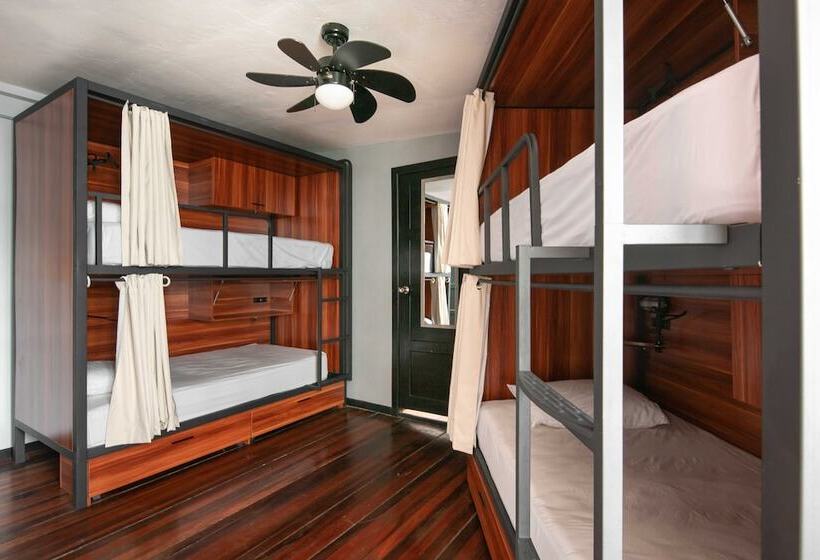 سرير فى غرفة مشتركه, Selina San Jose