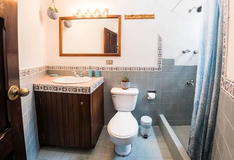 スタンダードスタジオ, Viajero San José Hostel