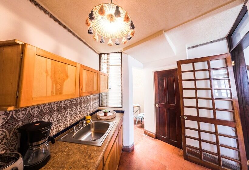 إستوديو قياسى, Selina San Jose