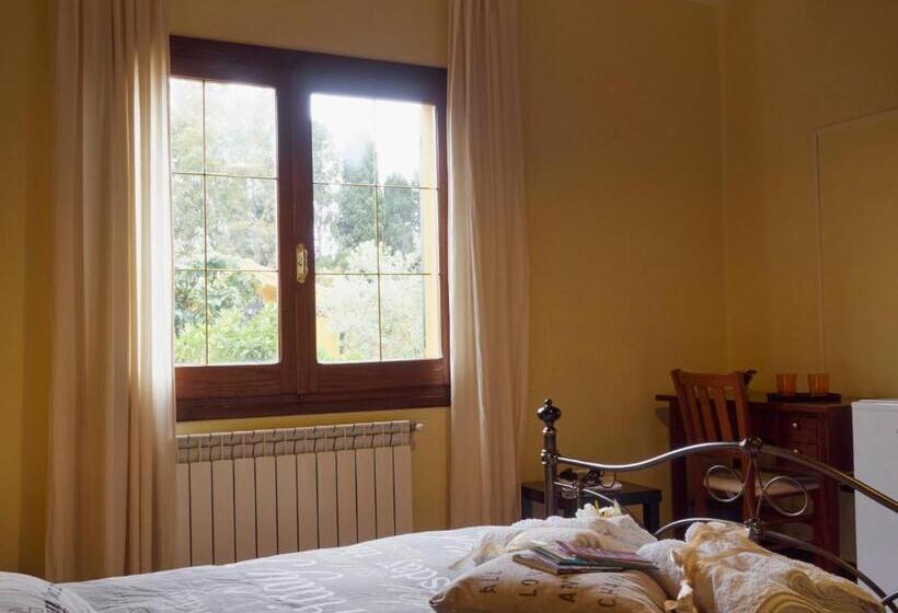 标准间, B&b Gassa D'amante