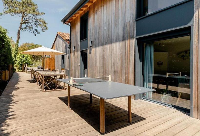 חדר משפחתי, Board 'n Breakfast