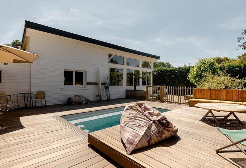 חדר סופריור לשלושה, Board 'n Breakfast