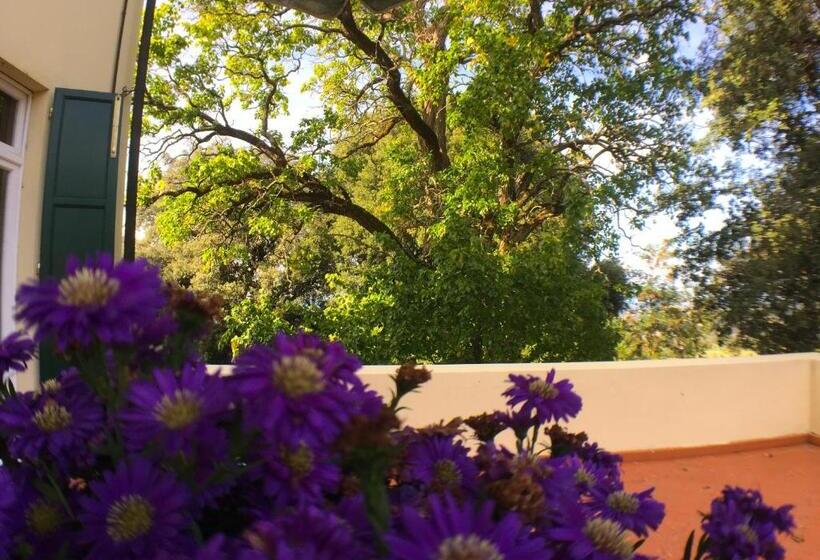 غرفة قياسية مزوَّدة بتراس, Villa Pieve De  Pitti