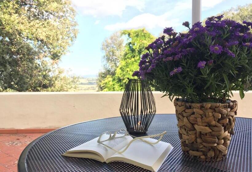 غرفة قياسية مزوَّدة بتراس, Villa Pieve De  Pitti