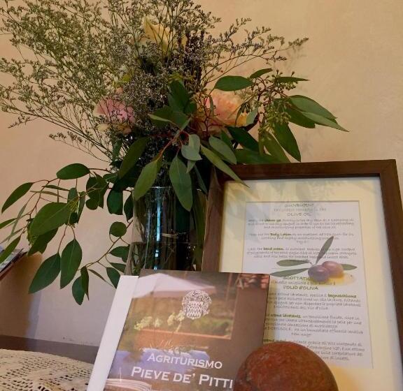 غرفة قياسية مزوَّدة بتراس, Villa Pieve De  Pitti