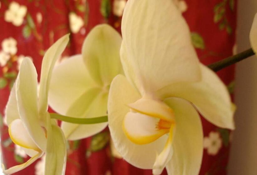 غرفة قياسية مع حمام خارجي, Villa Pieve De  Pitti