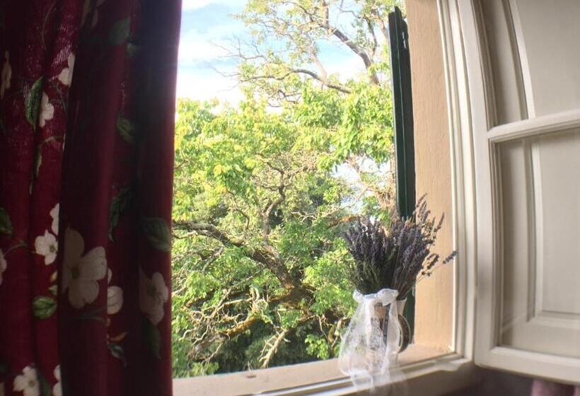 غرفة قياسية مع حمام خارجي, Villa Pieve De  Pitti