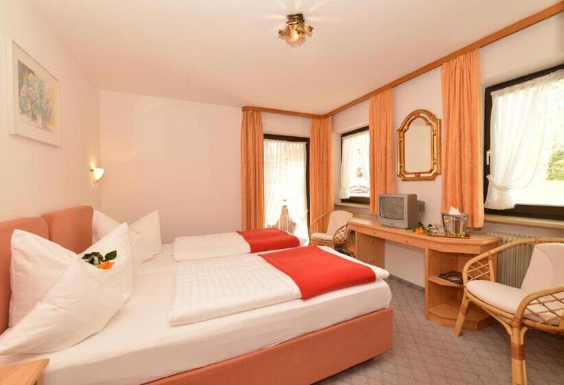 스탠다드 발코니 룸, Adler Garni