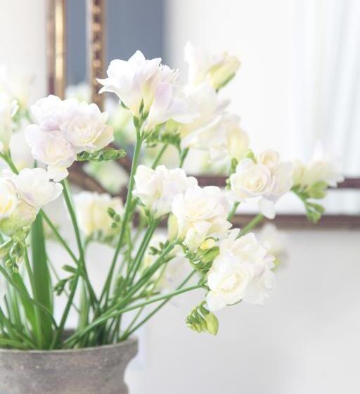 디럭스 룸, Villa Valentina