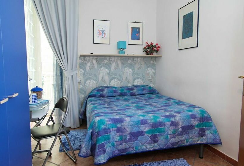 اتاق اکونومی, B&b Napoli Plebiscito