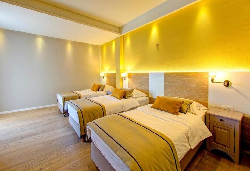 اتاق استاندارد سه نفره, Villa Regina