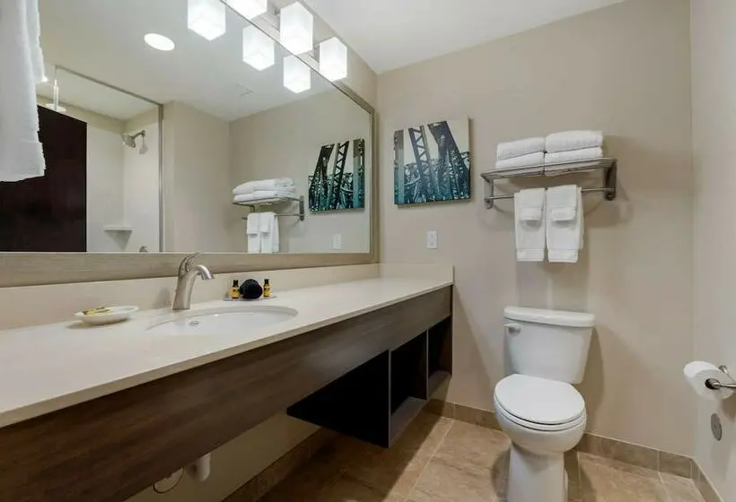 身障者適用スイートルーム, Best Western Plus Centralia Hotel & Suites