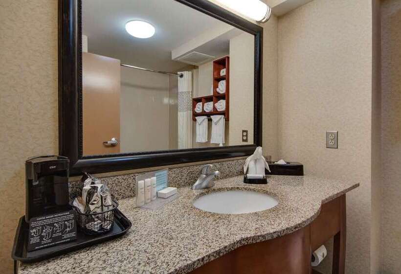 Стандартный Номер Кровать Кинг, Hampton Inn Livonia Detroit