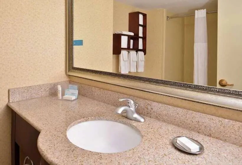 Standard-huone King-vuode, Hampton Inn Livonia Detroit