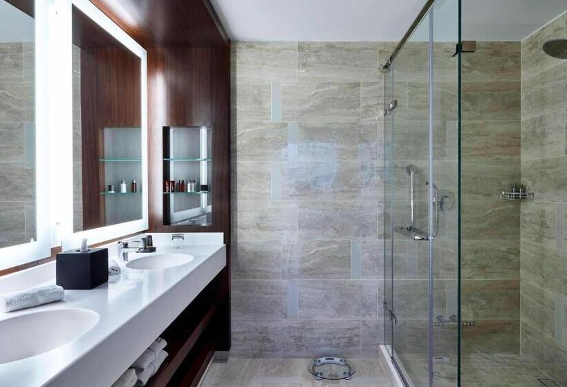 اتاق استاندارد با تخت بزرگ, Marriott Santa Cruz De La Sierra