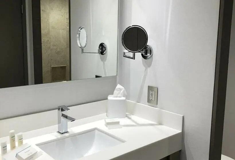 2ダブルベッドのスタンダードルーム, Hilton Garden Inn Mexico City Santa Fe