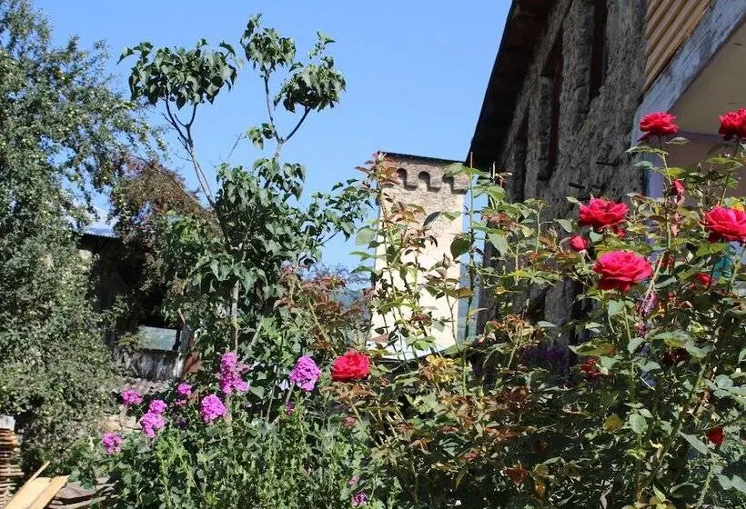 اتاق خانوادگی با چشمانداز کوه, Ecohouse Svaneti