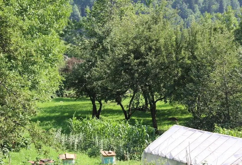 Economy Quadruple Room, Ecohouse Svaneti