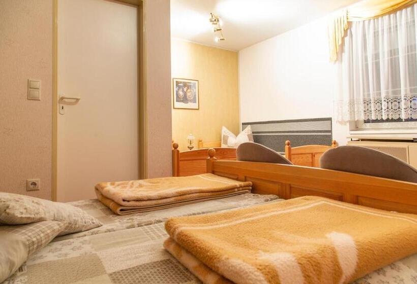 غرفة قياسية رباعية, Anna Panzió