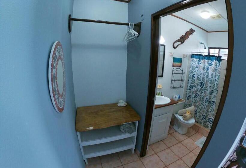 스탠다드 룸 풀장 전망, Perico Azul & Surf Camp