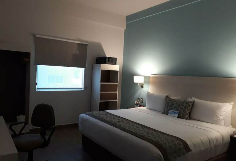スイート, Comfort Inn & Suites Los Cabos