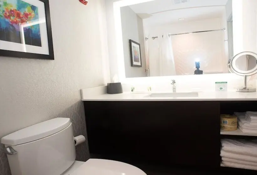 身障者適用スイートルーム, Holiday Inn Hotel & Suites Joliet Southwest, An Ihg