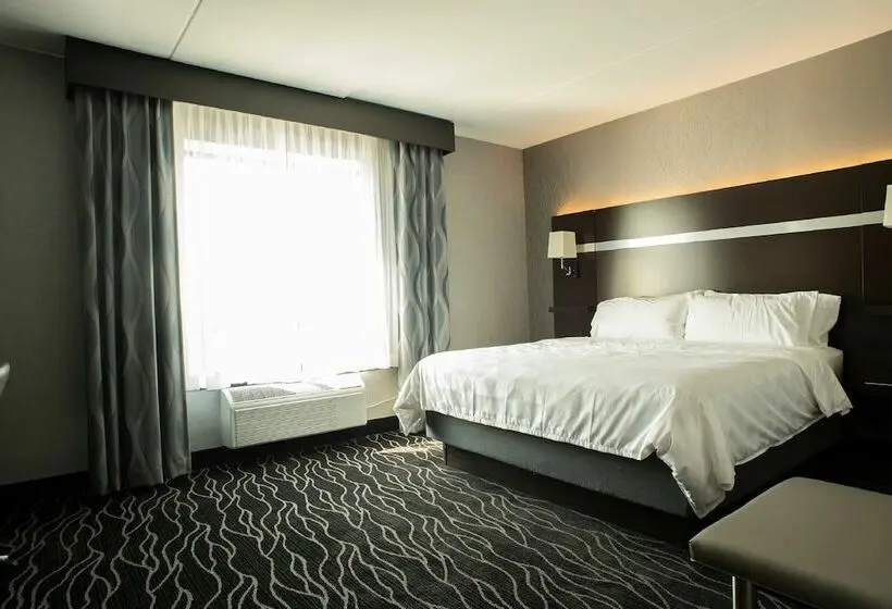 スイート, Holiday Inn Hotel & Suites Joliet Southwest, An Ihg