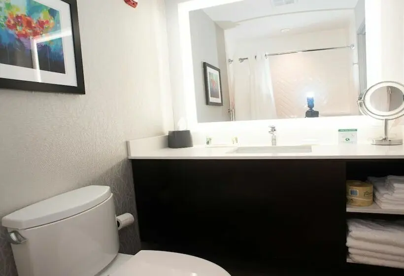 スイート, Holiday Inn Hotel & Suites Joliet Southwest, An Ihg