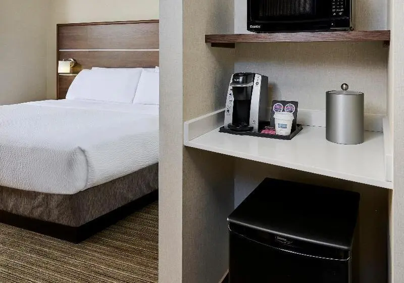 سوئیت با تخت بزرگ, Holiday Inn Express & Suites   Brantford, An Ihg