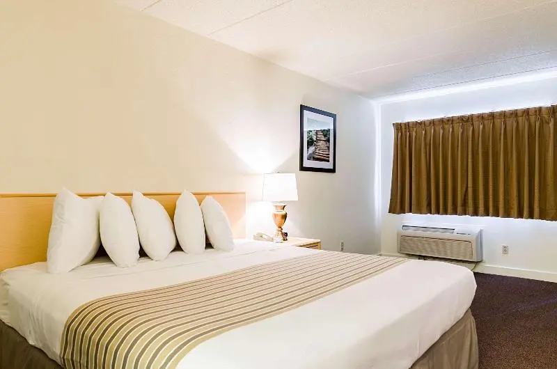 キングサイズベッドのスタンダードルーム, Holiday Inn Express & Suites Punta Gorda, An Ihg